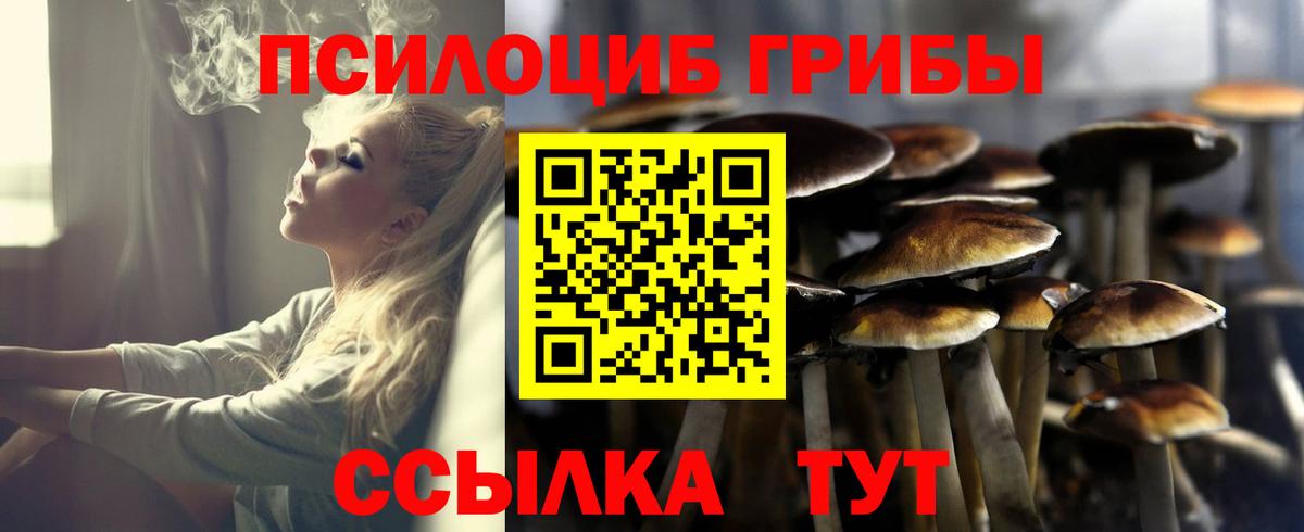 Гагарин  цены   Вход с VPN  Псилоцибиновые грибы Psilocybe 