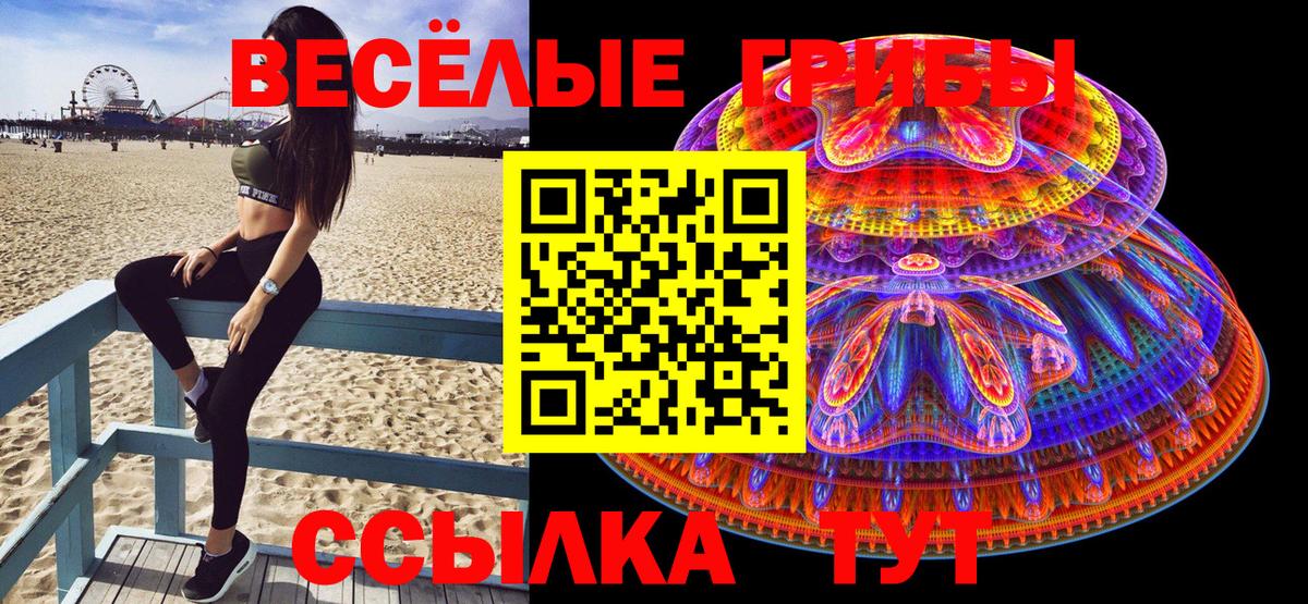 Псилоцибиновые грибы GOLDEN TEACHER Гагарин