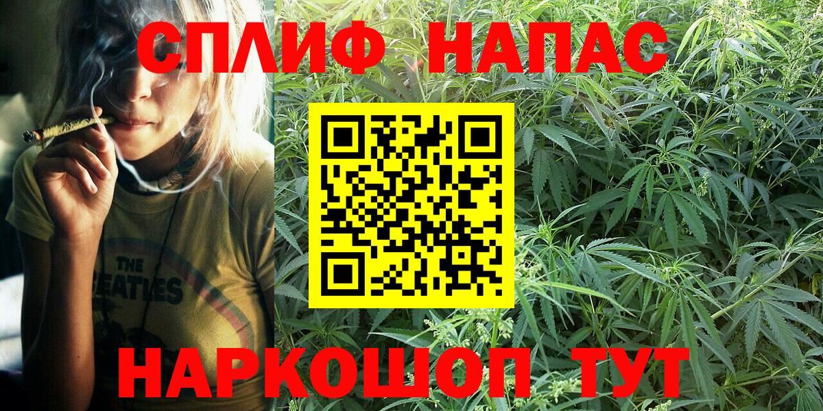 Гагарин  МАРИХУАНА сатива  Вход с VPN  Марихуана White Widow  Марихуана ГИДРОПОН  Конопля VHQ 